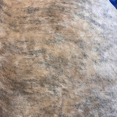 Light Brindle Cowhide Rug Size: 7.2x7.2 feet D-536