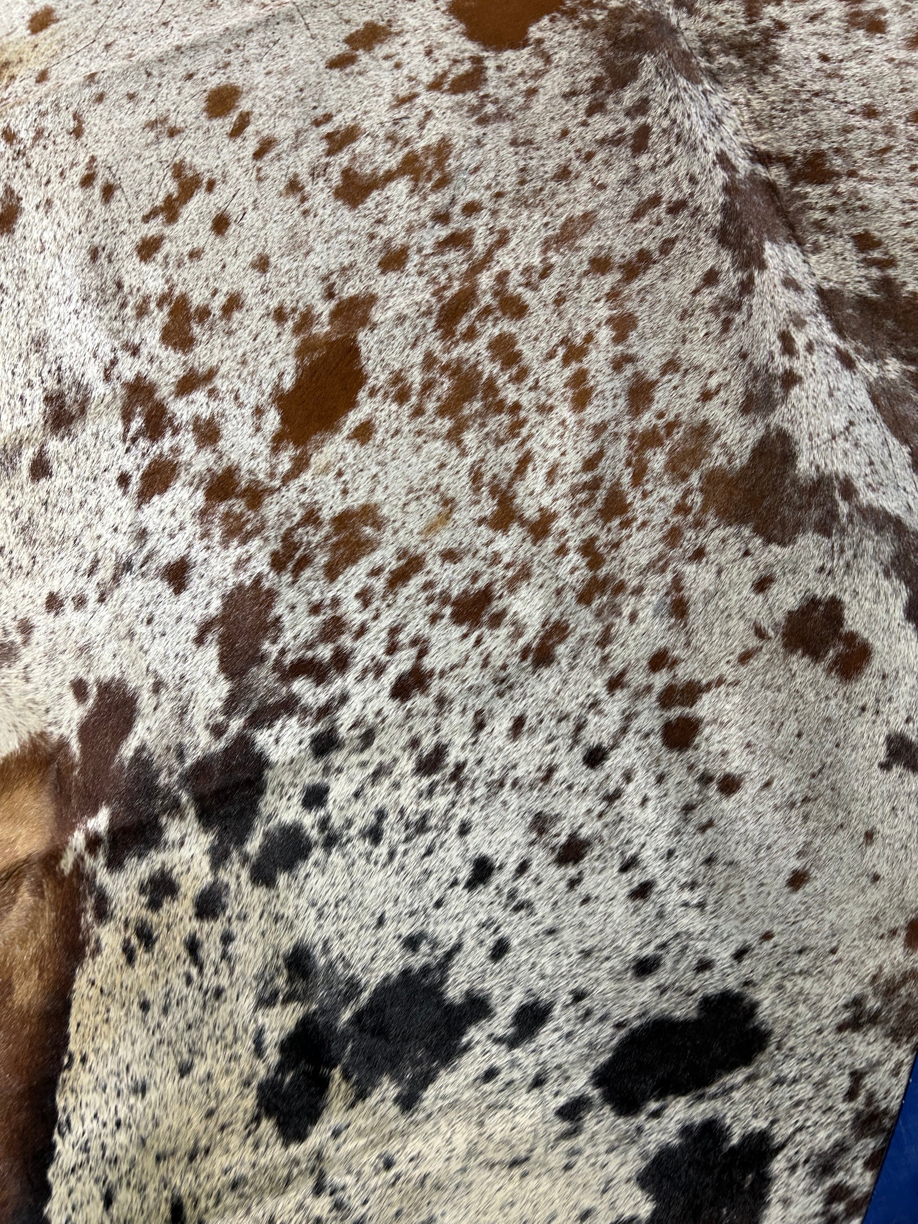 Gorgeous & Huge Speckled Brazilian Cowhide Rug (fire brands) Size: 8.2x7.5 feet O-413