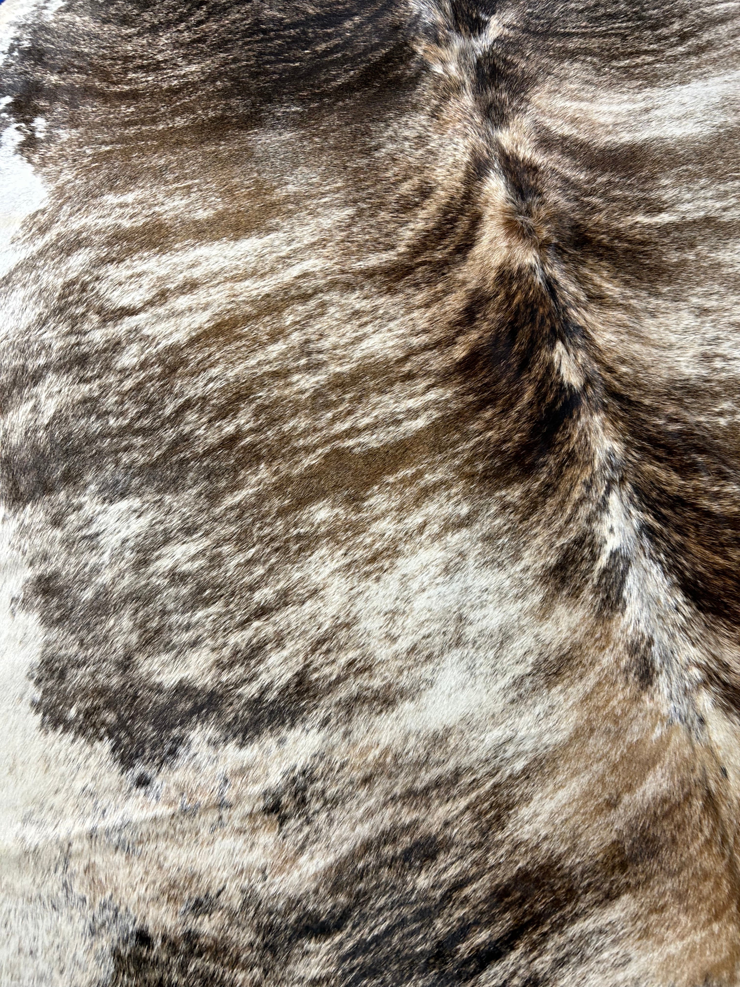 Gorgeous Light Brindle Cowhide Rug with White Belly Size: 8x7 feet O-416