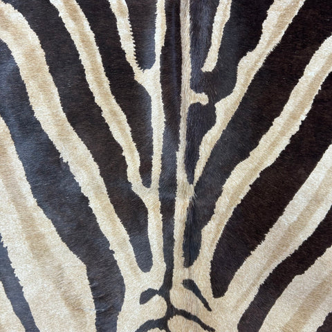 Genuine Zebra Cowhide Rug (brown inner stripes) Size: 7x6 feet Z-148