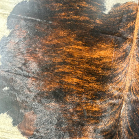 Tricolor Cowhide Rug Size: 7x6.7 feet D-539