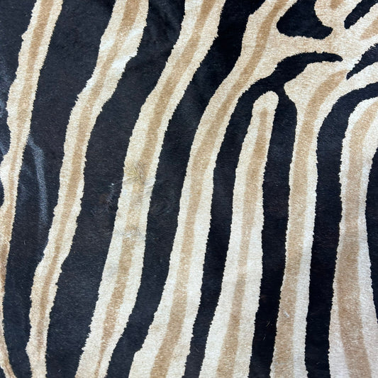 Genuine Zebra Cowhide Rug (brown inner stripes) Size: 7x6 feet Z-149