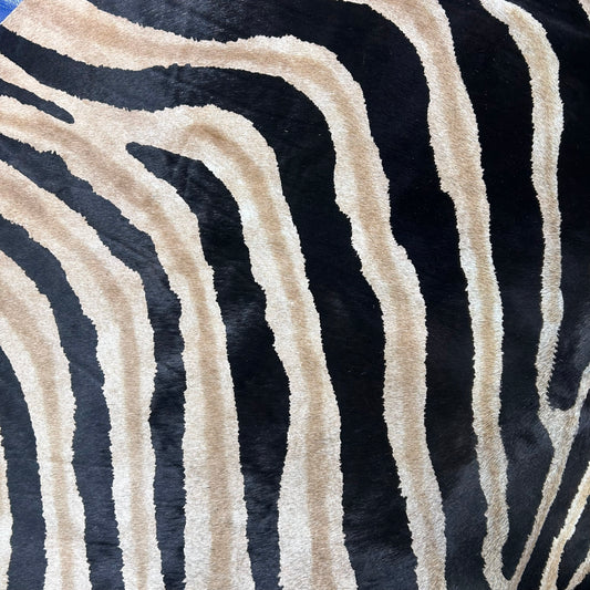 Genuine Zebra Cowhide Rug (lighter inner stripes) Size: 7x6 feet Z-161