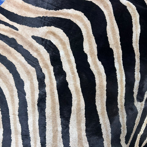 Genuine Zebra Cowhide Rug (lighter inner stripes) Size: 7x6 feet Z-161