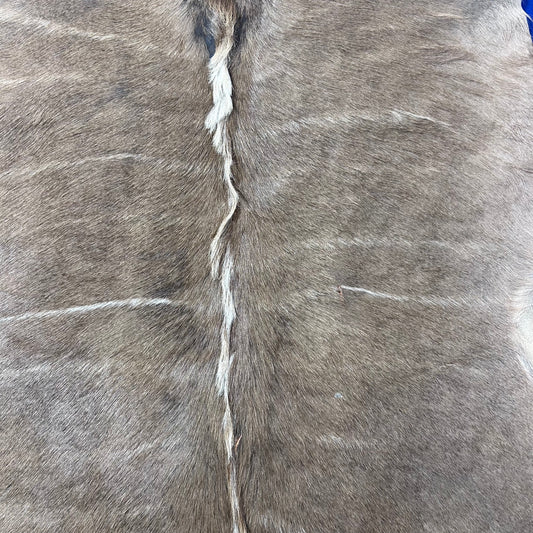 Kudu Skin Rug, Real Kudu Antelope Hide Size 66X59" D-965