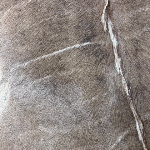 Kudu Skin Rug, Real Kudu Antelope Hide Size 66X59" D-965