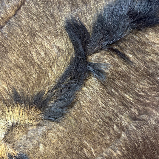 Sable Antelope Skin Rug (Tail is 14") Real Sable Antelope Hide Size 58x46" D-966