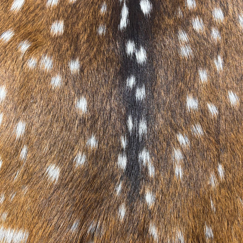 Top Grade Axis Deer Skin Size: 41x33" Axis-734