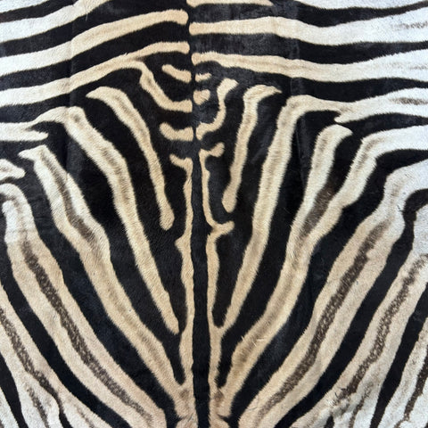 Zebra Skin Rug # 65 (Tail is 25") Size: 7x6 feet
