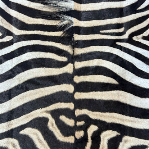 Zebra Skin Rug # 65 (Tail is 25") Size: 7x6 feet