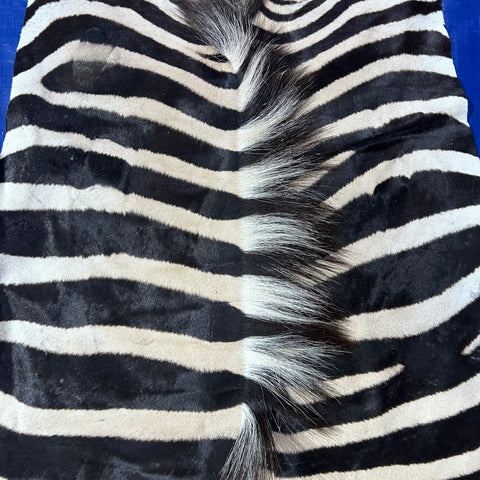 Zebra Skin Rug # 68 (HUGE/ 1 stitch/Tail is 31") Size: 8.5x7 feet