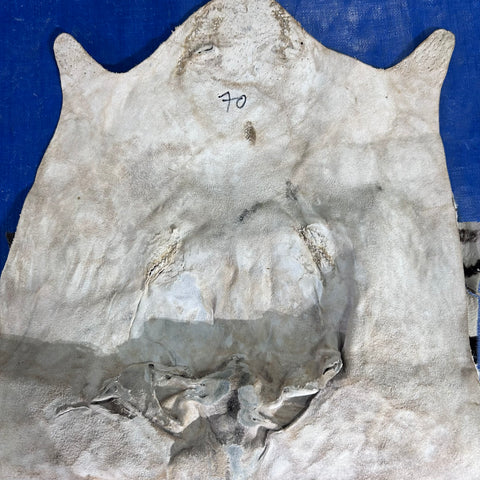 Zebra Face # 70 Size: 34x19"