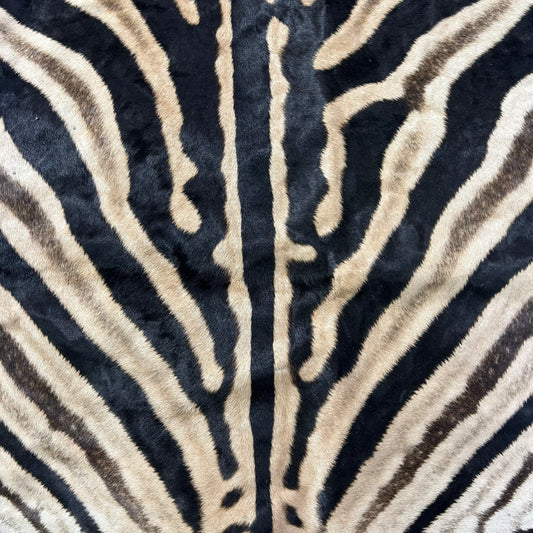 Real Zebra Back Skin # 71 (Tail is 31") Size: 34x72"