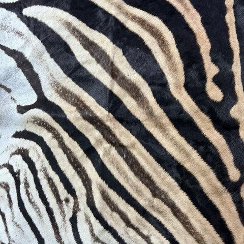 Real Zebra Back Skin # 71 (Tail is 31") Size: 34x72"