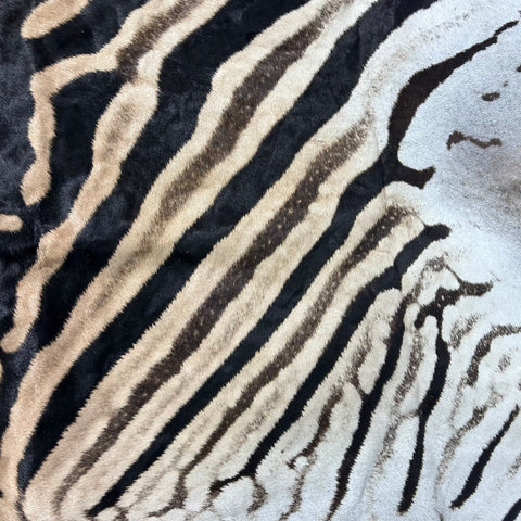 Real Zebra Back Skin # 71 (Tail is 31") Size: 34x72"