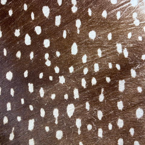 Axis Deer Print Cowhide Rug Size: 7x6 feet Z-334