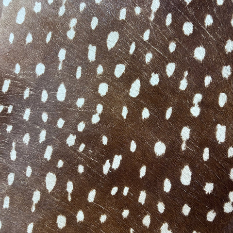 Axis Deer Print Cowhide Rug Size: 7x6 feet Z-334