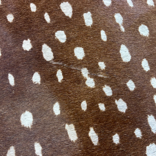 Axis Deer Print Cowhide Rug Size: 7x6 feet Z-334