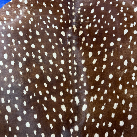 Axis Deer Print Cowhide Rug Size: 7x6 feet Z-336
