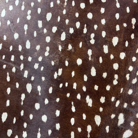 Axis Deer Print Cowhide Rug Size: 7x6 feet Z-336