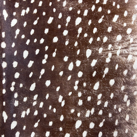 Axis Deer Print Cowhide Rug Size: 7x6 feet Z-337