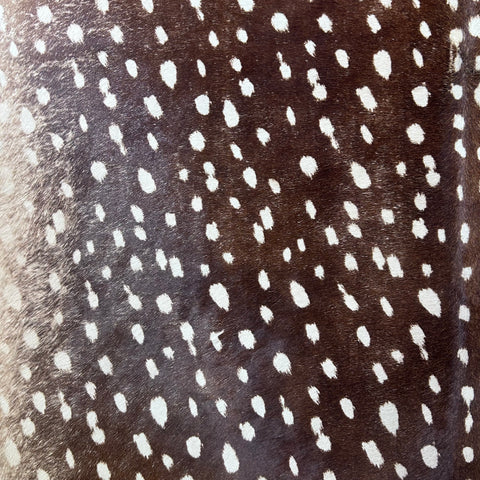 Axis Deer Print Cowhide Rug Size: 7x6 feet Z-337