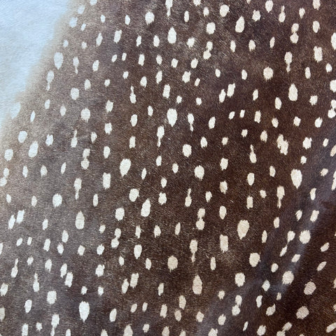 Axis Deer Print Cowhide Rug Size: 7x6 feet Z-338