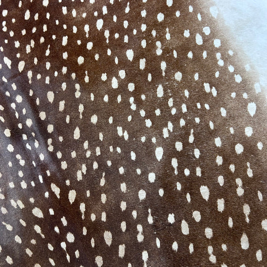Axis Deer Print Cowhide Rug Size: 7x6 feet Z-338
