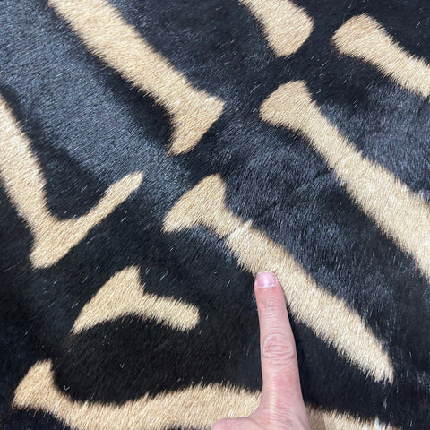 Real Zebra Skin Rug Hide # 50 Size: 8 X 6 feet Genuine Burchells Zebra Hide
