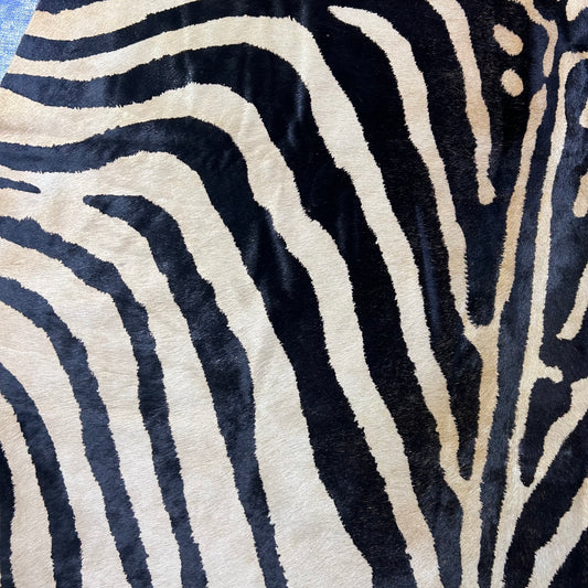 Ecco Zebra Printed Cowhide Rug (beige background) Size: 7x6 feet Z-007