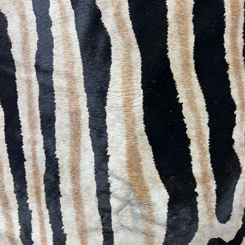 Dark Genuine Zebra Cowhide Rug Size: 7x5.7 feet Z-011