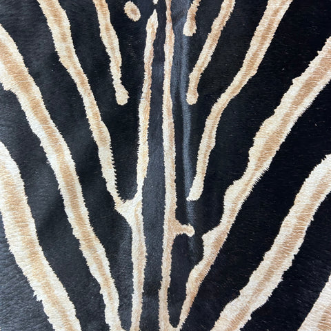 Dark Genuine Zebra Cowhide Rug Size: 7x5.7 feet Z-011