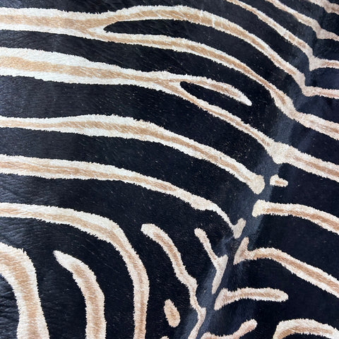 Dark Genuine Zebra Cowhide Rug Size: 7x5.7 feet Z-011