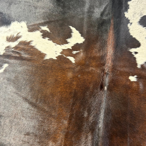 Dark Chocolate & White Spotted Cowhide Rug Size: 8x7 feet D-562