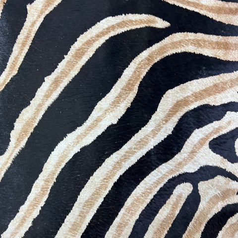 Dark Genuine Zebra Cowhide Rug Size: 7x5.7 feet Z-011