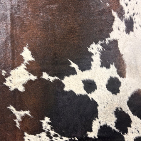 Dark Chocolate & White Spotted Cowhide Rug Size: 8x7 feet D-562