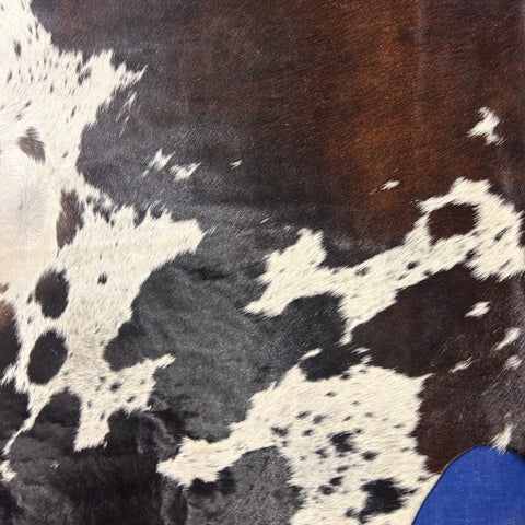 Dark Chocolate & White Spotted Cowhide Rug Size: 8x7 feet D-562