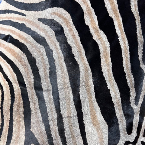 Dark Genuine Zebra Cowhide Rug (background is dark grey) Size: 6.2x5.7 feet Z-013