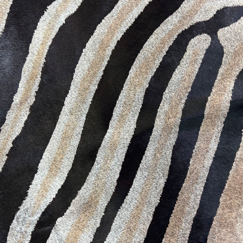 Dark Genuine Zebra Cowhide Rug (background is dark grey) Size: 6.2x5.7 feet Z-013