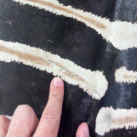 Dark Genuine Zebra Cowhide Rug Size: 7.2x6 feet Z-014
