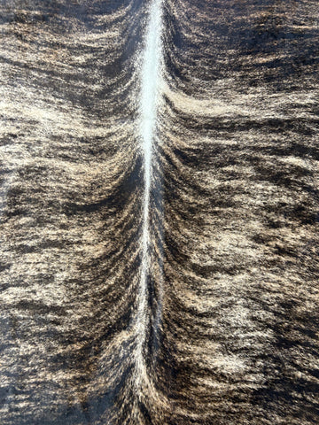 Huge Dark Brindle Cowhide Rug (sool dorsal line) Size: 8x7.5 feet M-1674