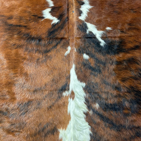 Tricolor Cowhide Rug Size: 7x6 feet D-565