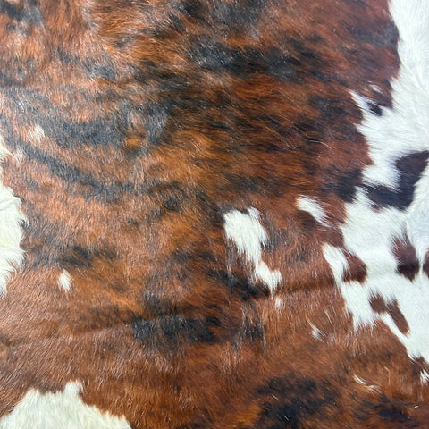 Tricolor Cowhide Rug Size: 7x6 feet D-565