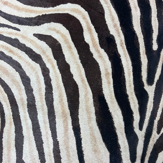 Light Genuine Zebra Cowhide Rug Size: 7x5.5 feet Z-024