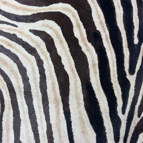 Light Genuine Zebra Cowhide Rug Size: 7x5.5 feet Z-024