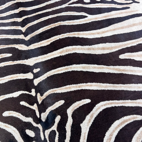Light Genuine Zebra Cowhide Rug Size: 7x5.5 feet Z-024