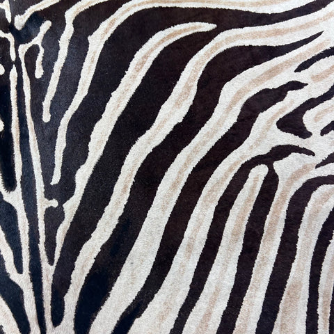 Light Genuine Zebra Cowhide Rug Size: 7x5.5 feet Z-024