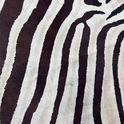 Light Genuine Zebra Cowhide Rug Size: 7x5.7 feet Z-025