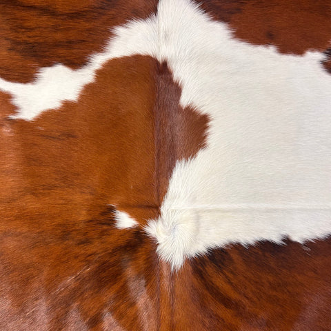 Tricolor Cowhide Rug Size: 7x6.2 feet D-569