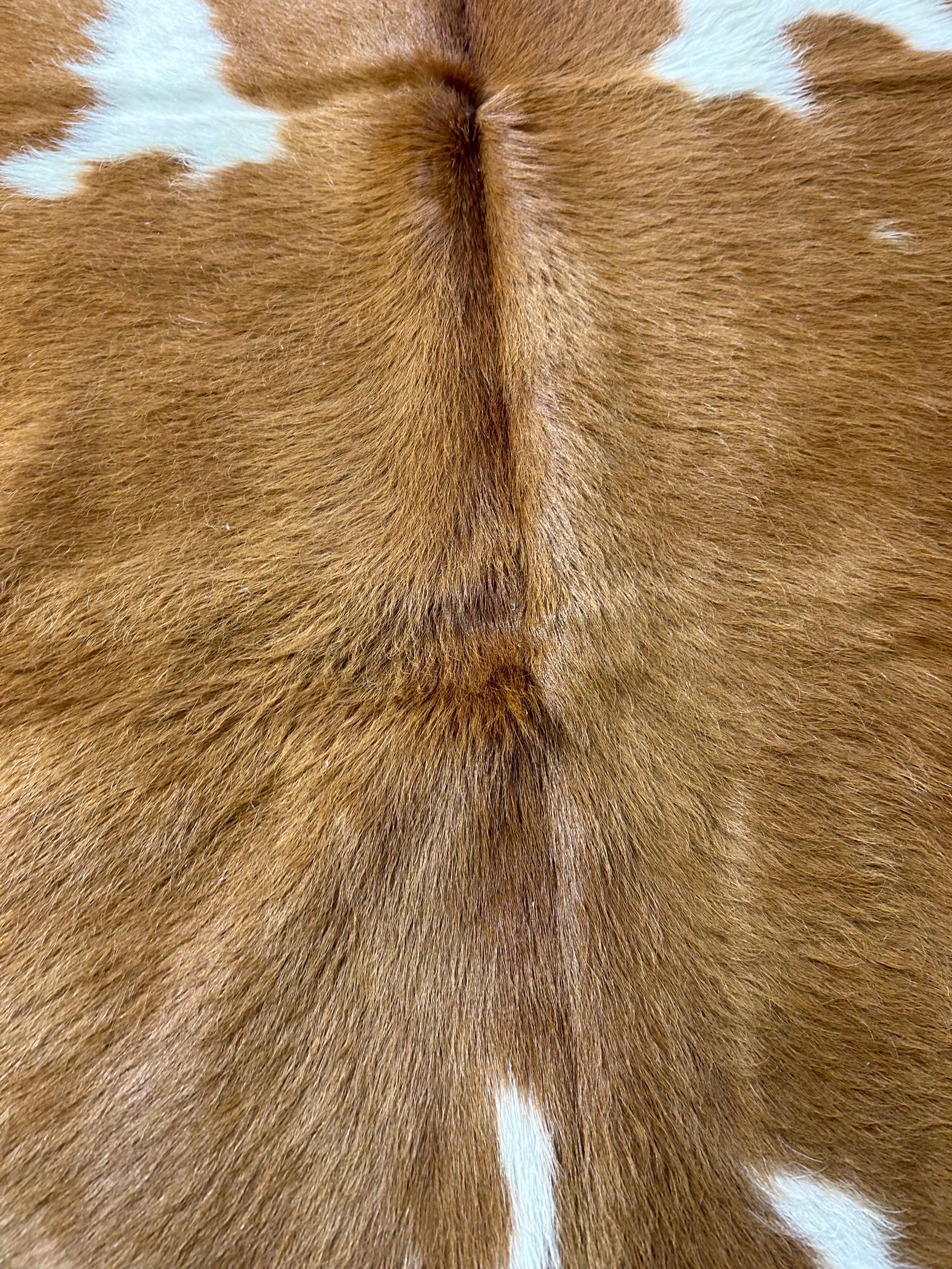 Brown & White Cowhide Rug Size: 6x6 feet M-1684
